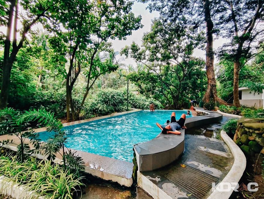 Stone-edged pool under the forest canopy