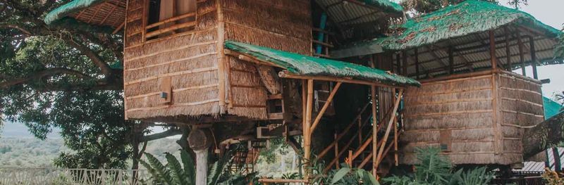 Treehouse 1B on stilts